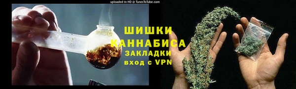 стафф Богородск