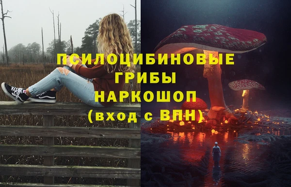 стафф Богородск