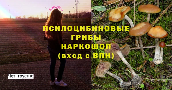 MDMA Богородицк